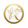 Kenzori